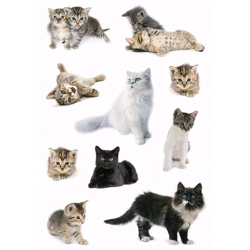 Foto van Katten stickers 3 vellen - stickers