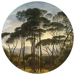 Foto van Wallart behangcirkel umbrella pines in italy 190 cm