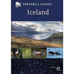 Foto van Iceland - crossbill guides