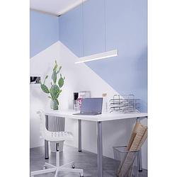 Foto van Paul neuhaus arina 8363-55 led-hanglamp 40 w rvs