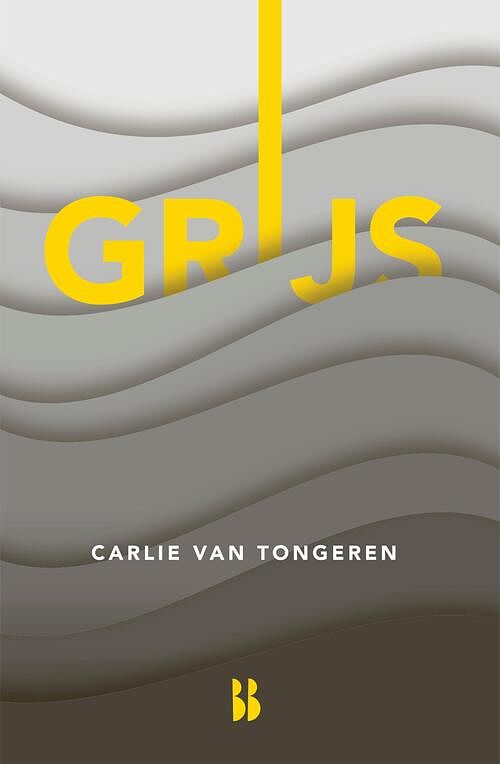 Foto van Grijs - carlie van tongeren - ebook (9789463494038)