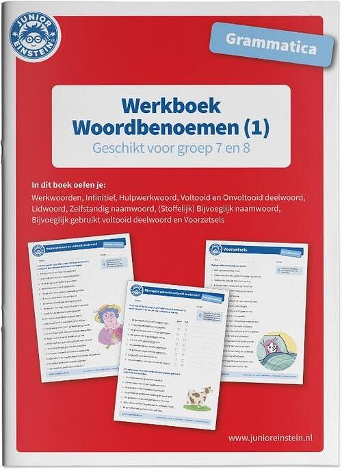 Foto van Grammatica woordbenoemen 1 - paperback (9789493128163)