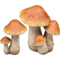 Foto van Decoratie paddenstoelen setje met 2x boleet paddenstoelen - herfst thema - tuinbeelden