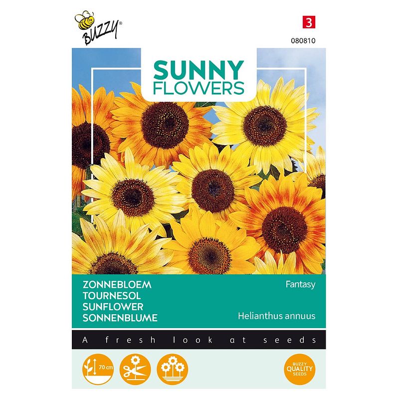 Foto van 3 stuks sunny flowers music box