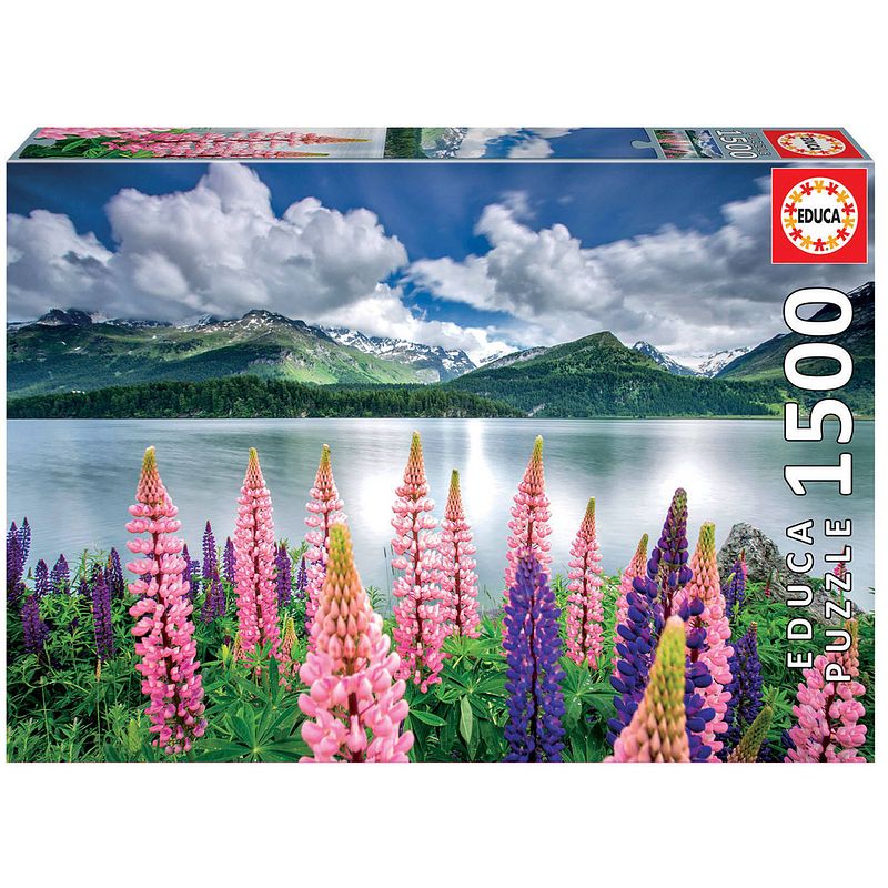 Foto van Educa lupines (1500)