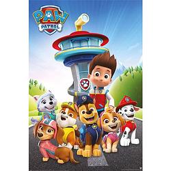 Foto van Poster paw patrol ready for action 61x91,5cm