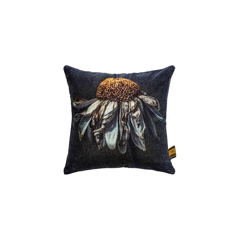 Foto van Ptmd hava black cotton velvet cushion daisy flower s