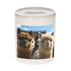 Foto van Dieren foto spaarpot alpaca 9 cm - alpacas spaarpotten jongens en meisjes - spaarpotten