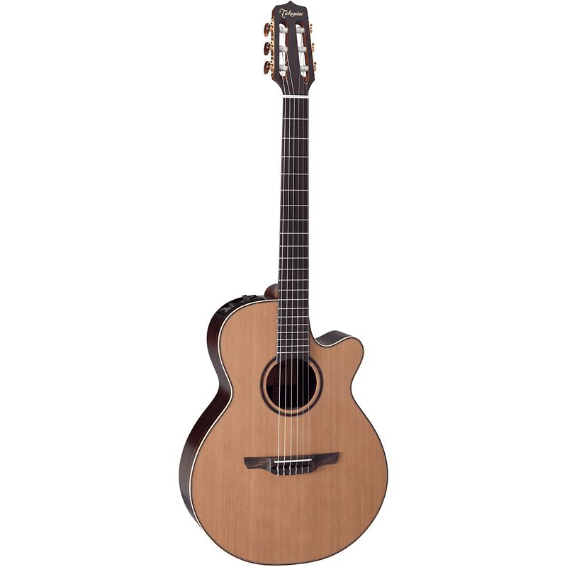 Foto van Takamine natural series dn65c e/a klassieke gitaar met koffer