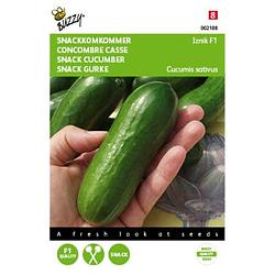 Foto van 5 stuks - buzzy - komkommers snack iznik f1 tuinplus