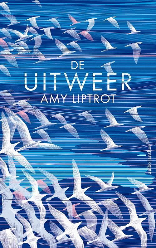 Foto van De uitweer - amy liptrot - ebook (9789026336645)