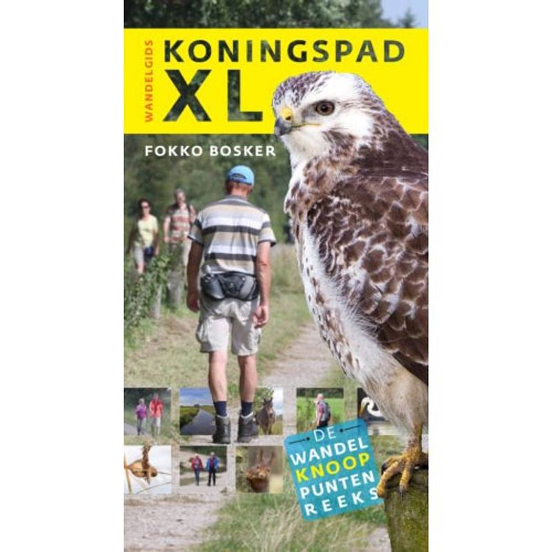 Foto van Wandelgids koningspad xl - wandelknooppuntenreeks