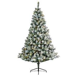 Foto van Kunst kerstboom imperial pine met sneeuw en verlichting 150 cm - kunstkerstboom