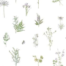 Foto van Evergreen behang herbs and flowers wit