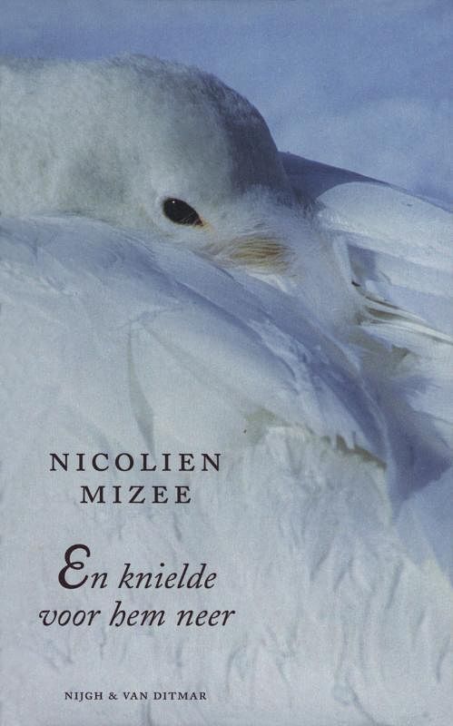 Foto van En knielde voor hem neer - nicolien mizee - ebook (9789038895864)