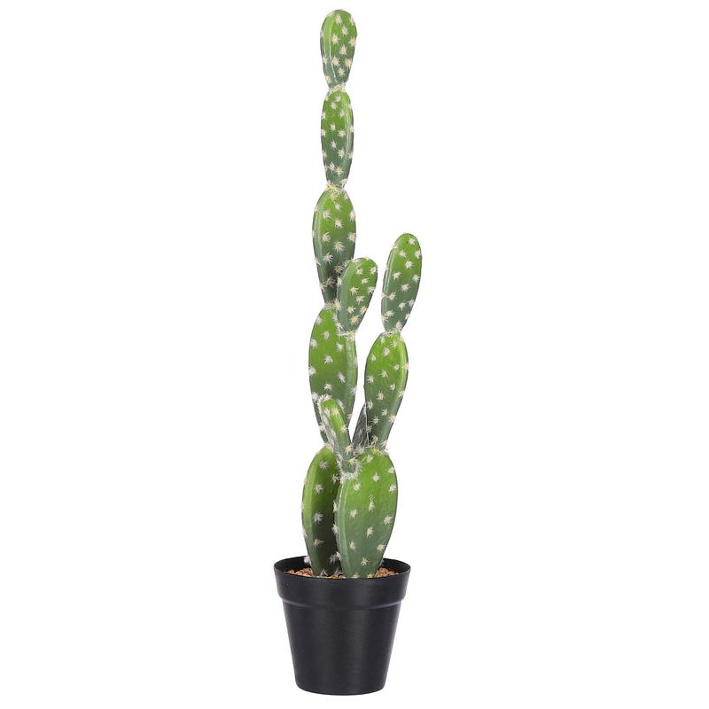 Foto van Tom cactus in pot 59 cm steen groen/zwart