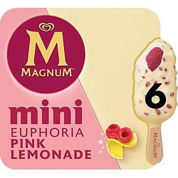 Foto van Magnum mini ijs euphoria 6 stuks 6 x 55ml bij jumbo