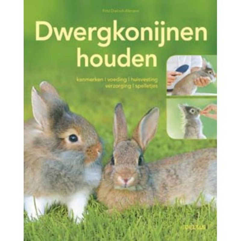 Foto van Dwergkonijnen houden