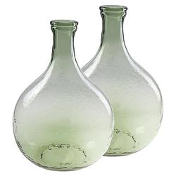 Foto van 2x stuks flesvazen glas groen 27 x 40 cm - vazen