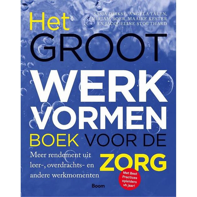 Foto van Het groot werkvormenboek voor de zorg