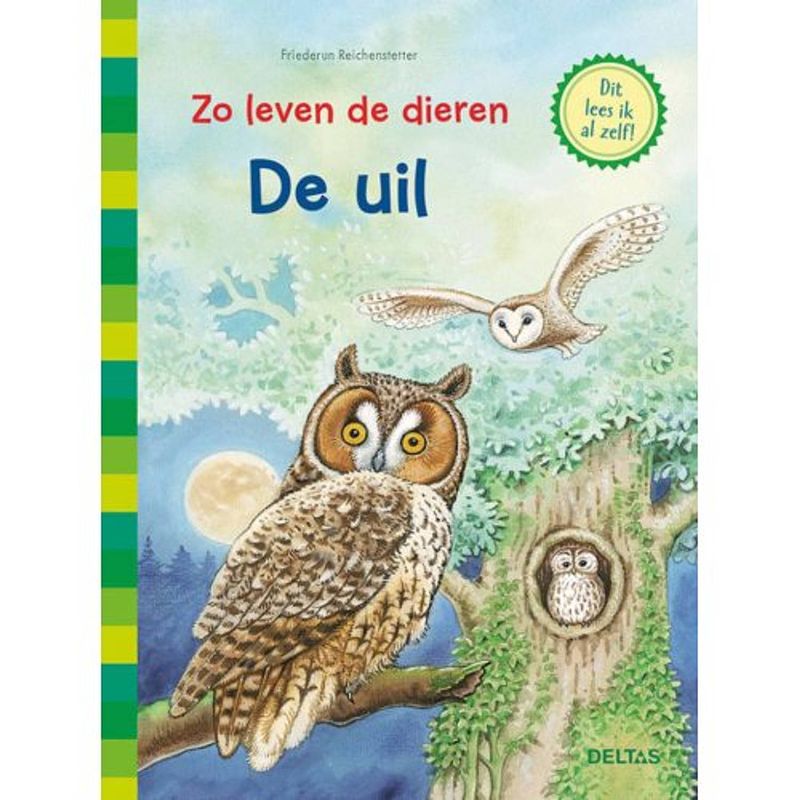 Foto van De uil - zo leven de dieren