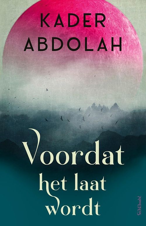 Foto van Voordat het laat wordt - kader abdolah - ebook