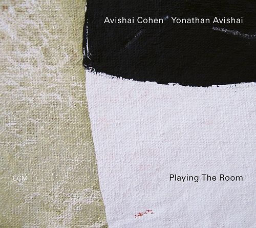 Foto van Playing the room - lp (0602577857256)