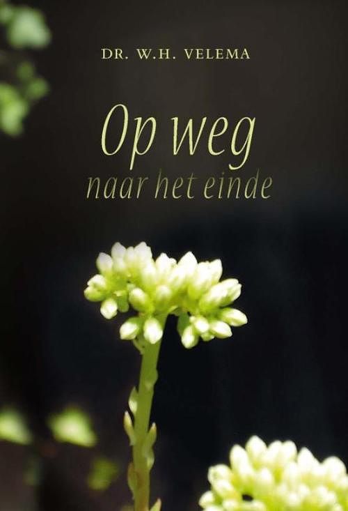 Foto van Op weg naar het einde - w.h velema - ebook