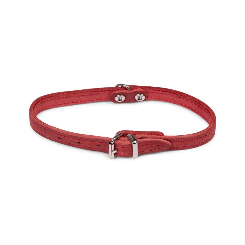 Foto van Dierenbenodigdheden vadigran halsband hond geolied leder rood 32cmx12mm xs