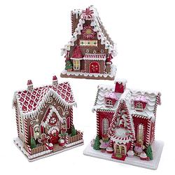 Foto van Gingerbread house with led light battery operated 9-10 inch