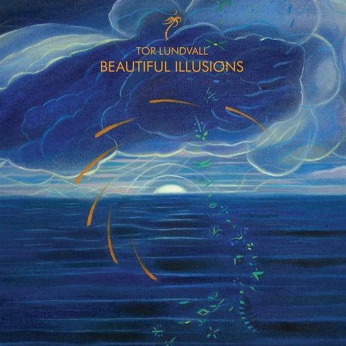 Foto van Beautiful illusions - lp (0011586672420)