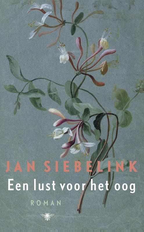 Foto van Een lust voor het oog - jan siebelink - ebook (9789023449416)