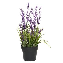 Foto van Lavendel kunstplant in pot - fuchsia paars - d15 x h30 cm - kunstplanten
