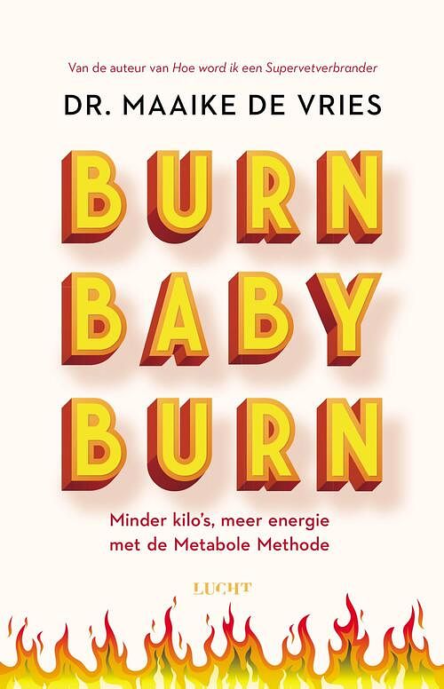 Foto van Burn baby burn - maaike de vries - ebook (9789493272149)