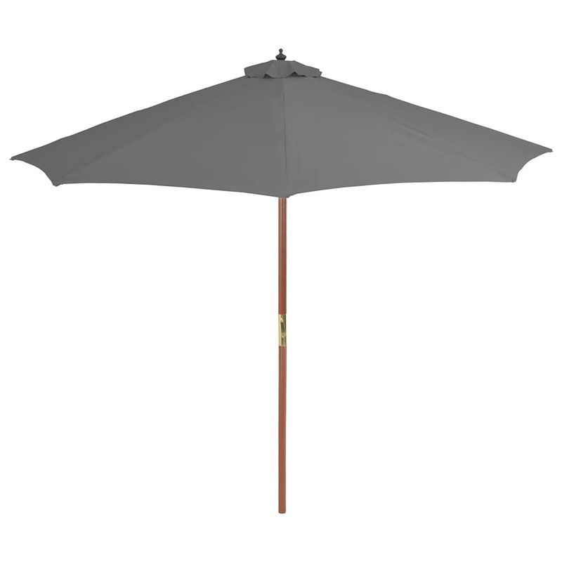 Foto van The living store tuinparasol - houten parasol - 300 x 250 cm - antraciet