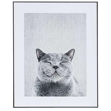 Foto van Schilderij knuffelige kat - zwart/wit/grijs - 40x50 cm - leen bakker