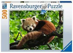 Foto van Schattige rode panda (500 stukjes) - puzzel;puzzel (4005556173815)