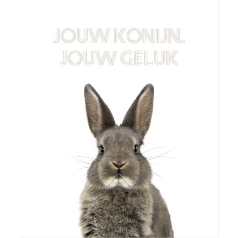 Foto van Jouw konijn, jouw geluk - jouw konijn