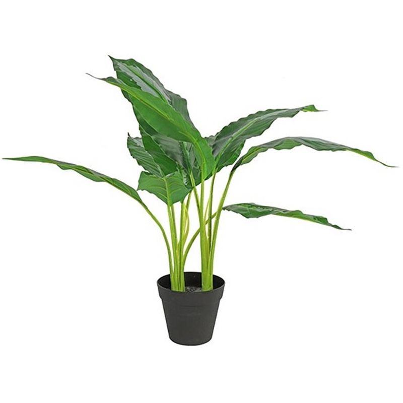 Foto van Non-branded kunstplant dieffenbachia 30 x 60 cm groen