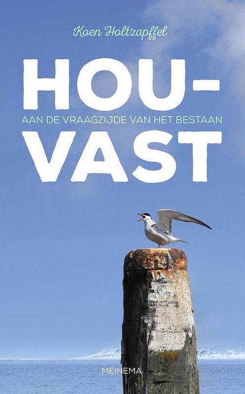 Foto van Houvast - koen holtzapffel - ebook (9789021144924)