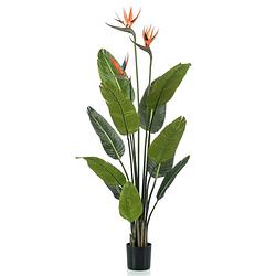 Foto van Strelitzia kunstplant 120cm met bloem