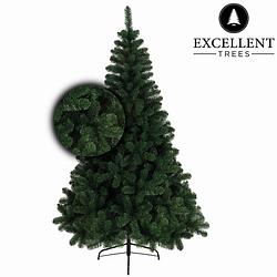 Foto van Kerstboom excellent trees® stavanger green 300 cm - luxe uitvoering