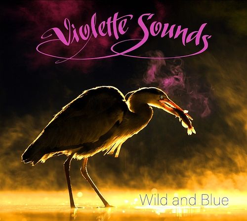 Foto van Wild and blue - cd (0885513701329)