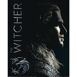 Foto van Pyramid the witcher shadows embrace poster 40x50cm