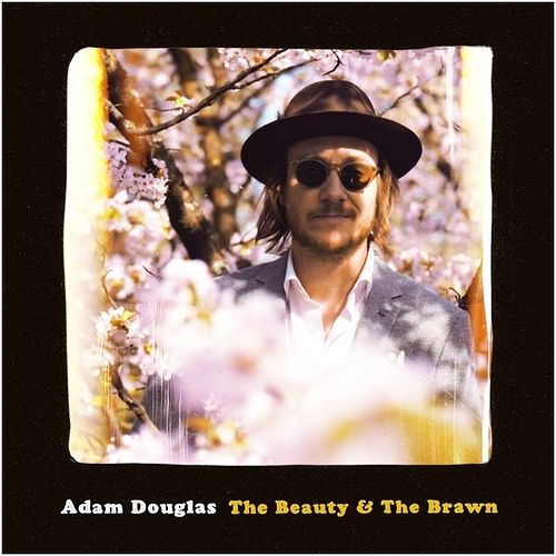 Foto van Beauty & the brawn - lp (7072588003530)