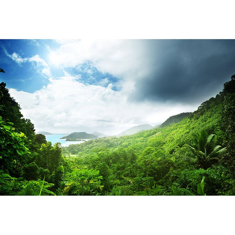 Foto van Spatscherm seychellen jungle - 100x65 cm