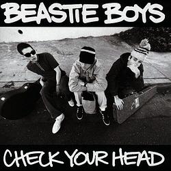 Foto van Check your head - cd (0077779893829)