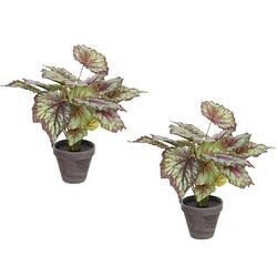 Foto van 2x stuks begonia kunstplanten rood in grijze sierpot h40 cm x d38 cm - kunstplanten