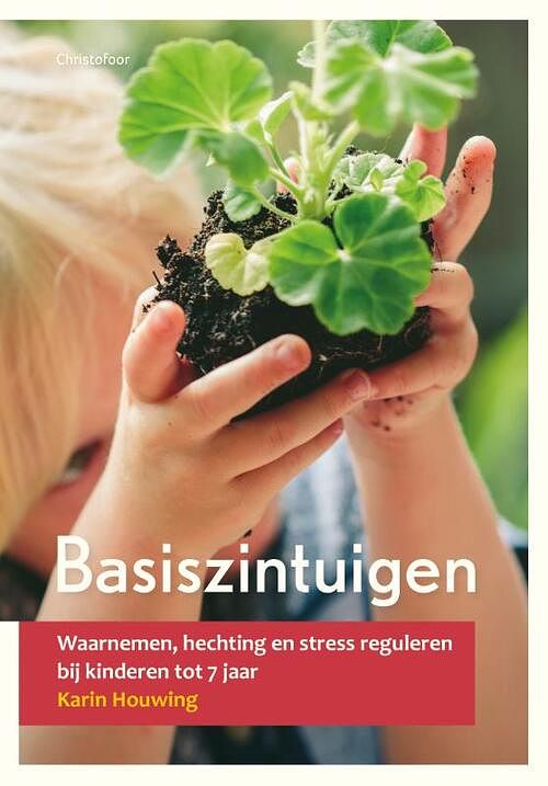 Foto van Basiszintuigen - karin houwing - paperback (9789060387665)