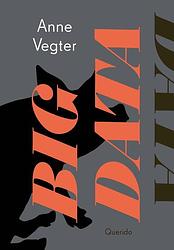 Foto van Big data - anne vegter - ebook (9789021478234)